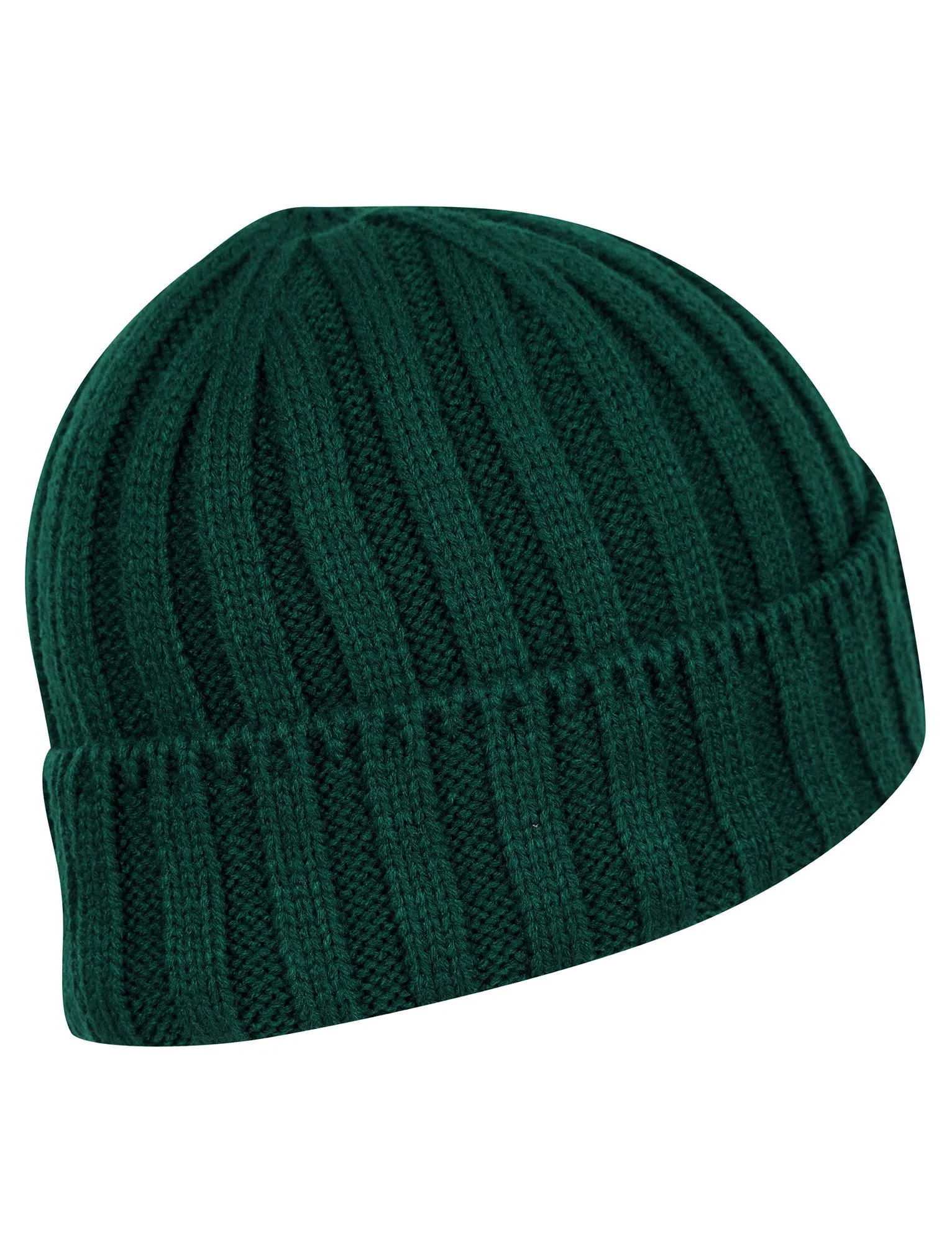 Men's Arnkell Chunky Ribbed Knit Beanie Hat in Posy Green - Tokyo Laundry